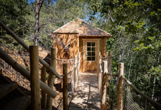 Casa del árbol en Cosy Cabins en el bosque de Limburg, Bélgica, con pasarela de madera y árboles verdes.