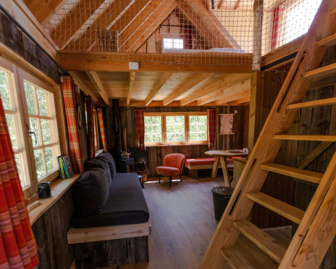 Vista interna della Tree House 1 presso Cosy Cabins nella foresta del Limburgo, Belgio, con arredo accogliente in legno.