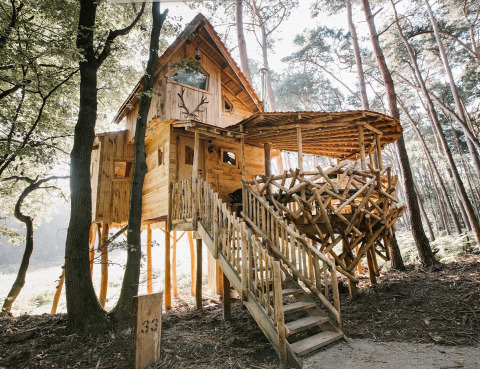 Rustikales, auf Stelzen stehendes Baumhaus aus Holz mit natürlichen Astgeländern in einem sonnenbeschienenen Wald in Limburg, Belgien.