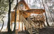 Casa rústica de madera en un árbol, elevada sobre pilotes con barandillas de ramas naturales, situada en un bosque soleado de Limburgo, Bélgica.