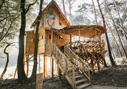 Rustieke houten boomhut verhoogd op palen met natuurlijke takleuningen, in een zonovergoten bos in Limburg, België.