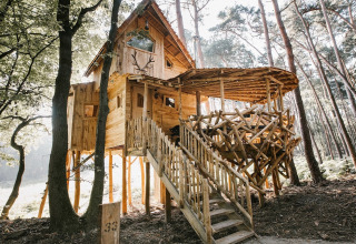 Casa rústica de madera en un árbol, elevada sobre pilotes con barandillas de ramas naturales, situada en un bosque soleado de Limburgo, Bélgica.
