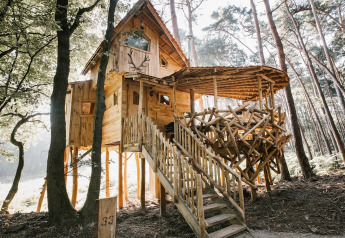 Rustikt træhus på pæle med rækværk af naturlige grene, beliggende i en solbeskinnet skov i Limburg, Belgien.