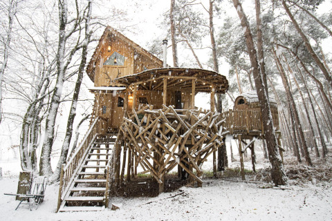 Hölzernes Baumhaus in einem verschneiten Wald bei Cosy Cabins, Limburg, Belgien, mit Treppen und rustikalen Ästen.