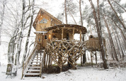 Casa del árbol de madera en un bosque nevado en Cosy Cabins, Limburgo, Bélgica, con escaleras y ramas rústicas.