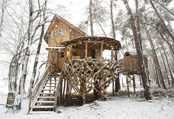 Houten boomhut in een besneeuwd bos bij Cosy Cabins, Limburg, België, met trap en rustieke takken.