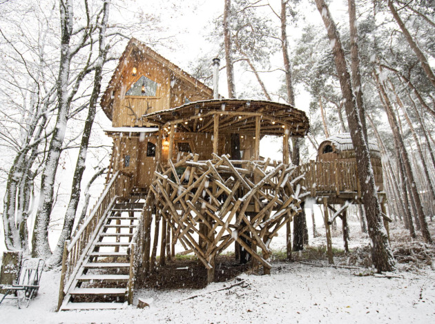 Houten boomhut in een besneeuwd bos bij Cosy Cabins, Limburg, België, met trap en rustieke takken.