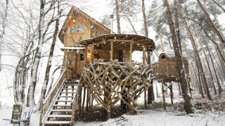 Houten boomhut in een besneeuwd bos bij Cosy Cabins, Limburg, België, met trap en rustieke takken.