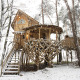 Hölzernes Baumhaus in einem verschneiten Wald bei Cosy Cabins, Limburg, Belgien, mit Treppen und rustikalen Ästen.