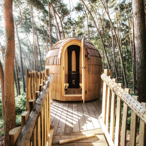 Ein gemütliches Baumhaus aus Holz mit einem abgerundeten Dach, eingebettet zwischen hohen Kiefern in einem Wald in Limburg, Belgien.