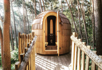 Un'accogliente casa sull'albero in legno con tetto arrotondato, immersa tra alti pini in una foresta del Limburgo, in Belgio.