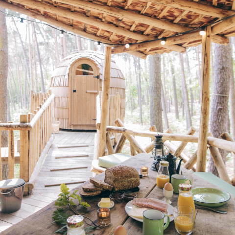 Rustiek buitenontbijt op een houten dek van een boomhut in een bosrijke omgeving in Limburg, België.
