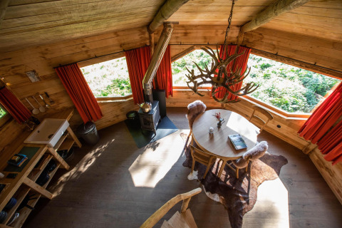 Gezellig houten boomhutinterieur in België met rustieke meubels, houtkachel, geweiluchter en uitzicht op het bos.