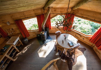 Accogliente casa sull'albero in legno in Belgio con mobili rustici, stufa a legna, lampadario di corna e vista sulla foresta.
