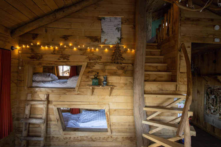 Cozy wooden tree house interior with fairy lights, bunk beds, rustic stairs, and natural wood accents in Belgium.