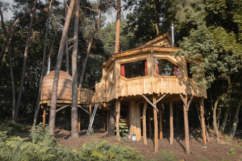 Casa del árbol de madera sobre pilotes enclavada entre altos árboles en un bosque en Cosy Cabins, Limburgo, Bélgica.