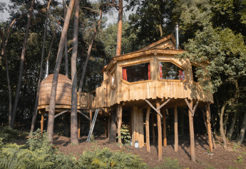 Casa sull'albero in legno su palafitte immersa tra alberi ad alto fusto in una foresta presso Cosy Cabins, Limburgo, Belgio.