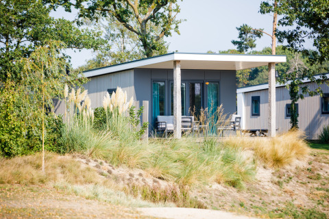 Beach lodge en Vakantiepark Leukermeer, Países Bajos, rodeada de dunas y vegetación exuberante.