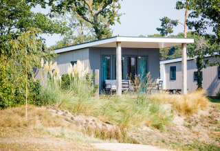 Beach lodge at Vakantiepark Leukermeer in the Netherlands, surrounded by dunes and lush greenery.