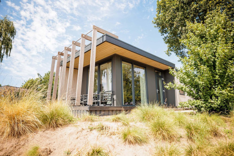 Tiny house moderna Beach lodge all'Vakantiepark Leukermeer, Paesi Bassi, circondata da natura e verde.
