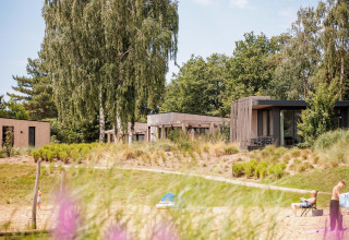 Casas pequeñas junto a la playa y rodeadas de árboles en Vakantiepark Leukermeer, Países Bajos.