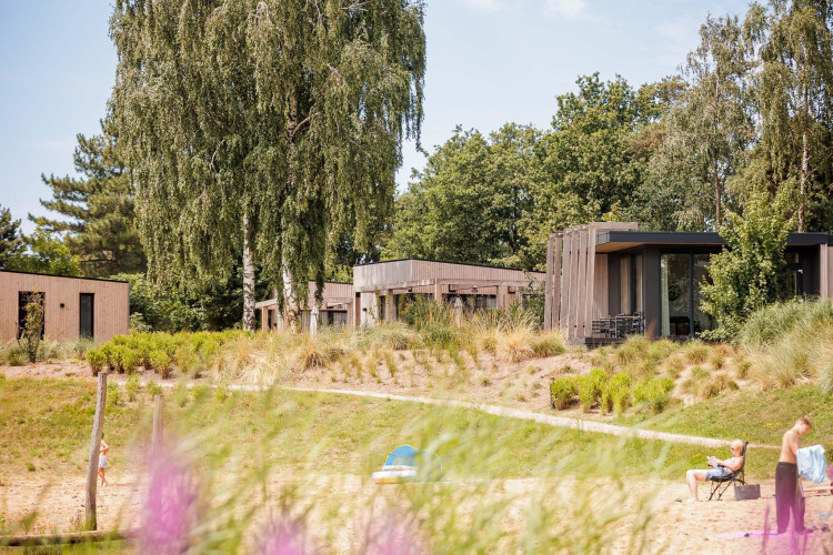 Casas pequeñas junto a la playa y rodeadas de árboles en Vakantiepark Leukermeer, Países Bajos.