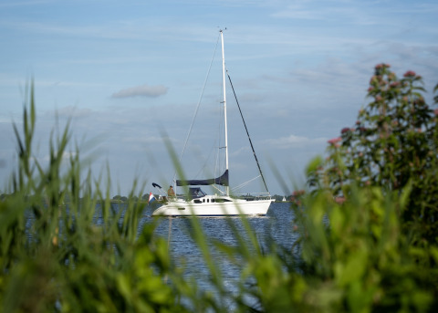 Zeilboot op het meer gezien door groene planten aan Houseboat + roof terrace in Offingawier, Friesland, Nederland.