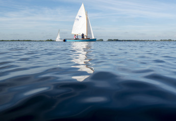 Barche a vela su un lago tranquillo vicino a Houseboat + roof terrace a Offingawier, Friesland, Paesi Bassi.