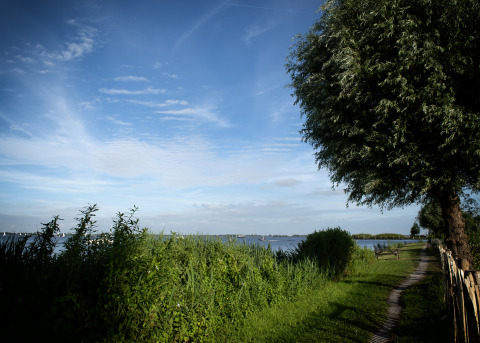 Lakeside view with lush path near houseboat and roof terrace, Offingawier, Friesland, Netherlands.