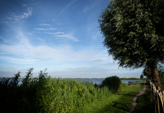 Vue sur le lac et un chemin verdoyant près d'une péniche avec terrasse, Offingawier, Friesland, Pays-Bas.