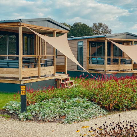 Afbeelding van Tiny Court lodges in vakantiepark De Boshoek in Nederland, met bloemen en groen rondom.