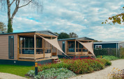 Charming Tiny Court lodges at Holiday park De Boshoek, Netherlands, surrounded by flowers and greenery.