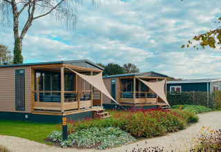 Knappe Tiny Court lodges bij Holiday park De Boshoek in Nederland, met bloemen en veel groen rondom.
