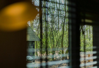 View through a window with blinds onto a wooded area and lodge at Buitengoed Ruysbos, Netherlands.