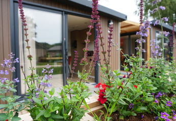 Bloembed voor tiny house Hotel Lodge met grote glazen deuren bij vakantiepark De Boshoek, Nederland.