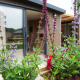 Bloembed voor tiny house Hotel Lodge met grote glazen deuren bij vakantiepark De Boshoek, Nederland.