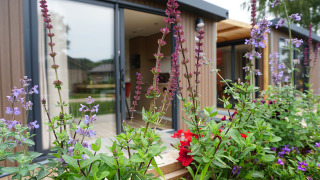 Cama de flores delante de la tiny house Hotel Lodge con puertas de vidrio en Holiday park De Boshoek, Países Bajos.