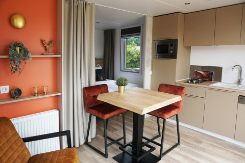 Modern tiny house Hotel Lodge with kitchen, dining area and cozy decor at De Boshoek, Netherlands.