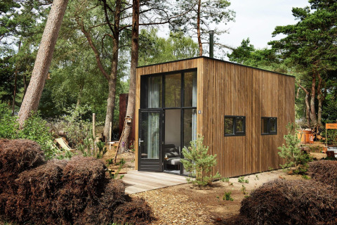 Casa pequeña moderna con fachada de madera en un entorno boscoso en Maasduinen, Países Bajos, de día.