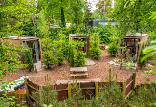 Drie tiny houses omgeven door groen bij Tiny House Maasduinen, Nederland, gezien van boven.