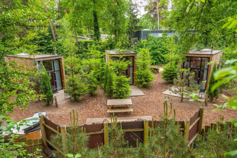 Tres pequeñas casas rodeadas de vegetación en Tiny House Maasduinen, Países Bajos, vista aérea.