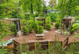 Drei kleine Holzhäuser im Grünen im Tiny House Maasduinen, Niederlande, mit Picknickbank.