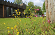 Blumen und grünes Gras vor einer Hütte im Holiday Park 't Rheezerwold, Niederlande, im Sommer.