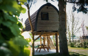En lille hytte hævet på pæle mellem træer ved Treelodge på Gulperberg, Holland, omgivet af natur.