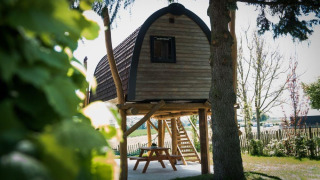 Kleine boomhut op palen in Treelodge, Gulperberg, Nederland, te midden van bomen en weelderig groen.
