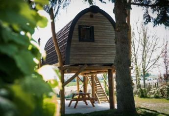 Pequeña cabaña elevada sobre pilotes en Treelodge, Gulperberg, Países Bajos, rodeada de árboles y naturaleza.