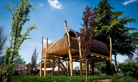 Kleine boomhut Treelodge op palen, tussen de bomen met blauwe lucht in Gulperberg, Nederland.
