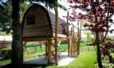 Tiny house Treelodge op palen bij Gulperberg in Nederland, omringd door bomen en een groene tuin.