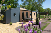 Moderna tiny house Forest lodge en Holiday Park 't Rheezerwold, Países Bajos, rodeada de vegetación.