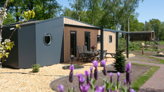 Moderne tiny house Forest lodge i Holiday Park 't Rheezerwold, Holland, omgivet af grønne træer.